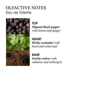 Molton Brown Re-charge Black Pepper Eau de Toilette 100ml